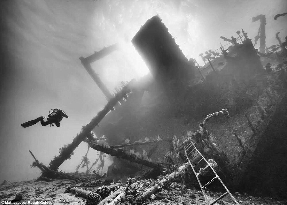38A5C25500000578-3800227-Ghostly_shipwreck_A_lone_scuba_diver_swims_closer_to_the_rotting-a-50_1474467950770.jpg